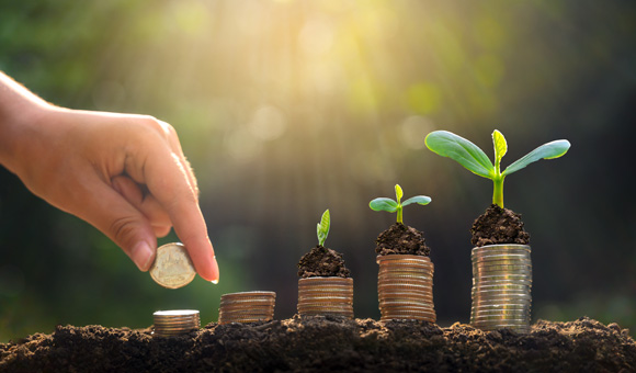 木コラボ商品導入で実現する社会貢献